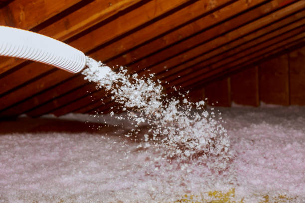 Best Spray Foam Insulation in Grapevine, TX