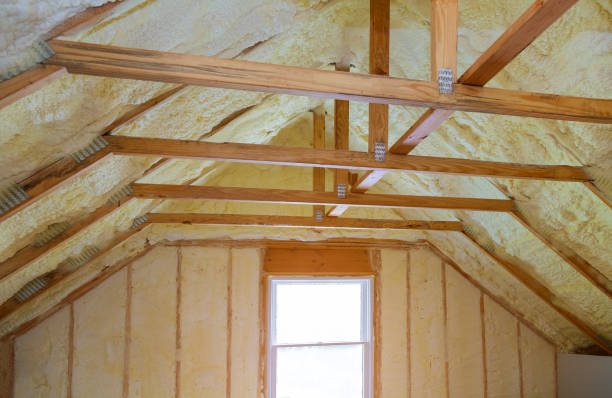 Best Residential Insulation in Grapevine, TX