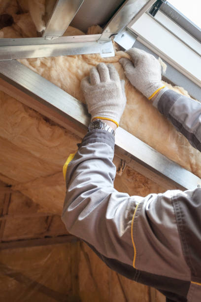 Trusted Grapevine, TX Insulation Contractor Experts