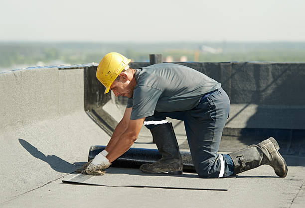 Best Cellulose Insulation in Grapevine, TX