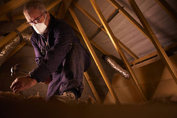 Types of Insulation We Offer in Grapevine, TX